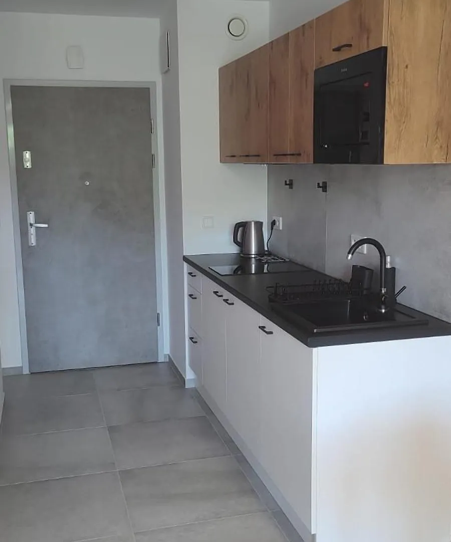 Halicka Apartment Free Parking By Citybeat Krakow